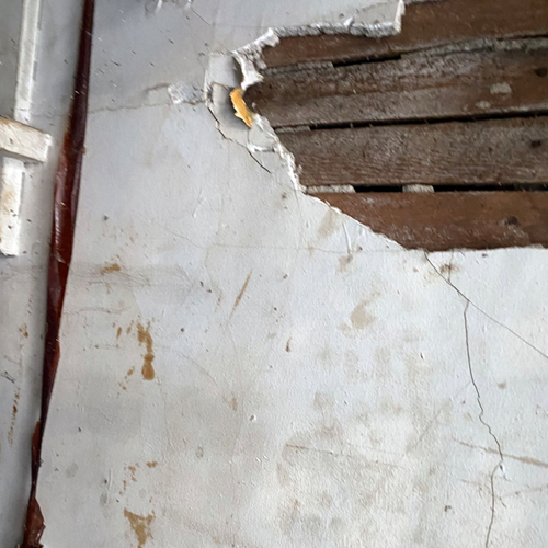 Mold Lead Asbestos Testing | Great Lake Environmental Testing Mold Testing | Lead Testing | Great Lakes Environmental Testing