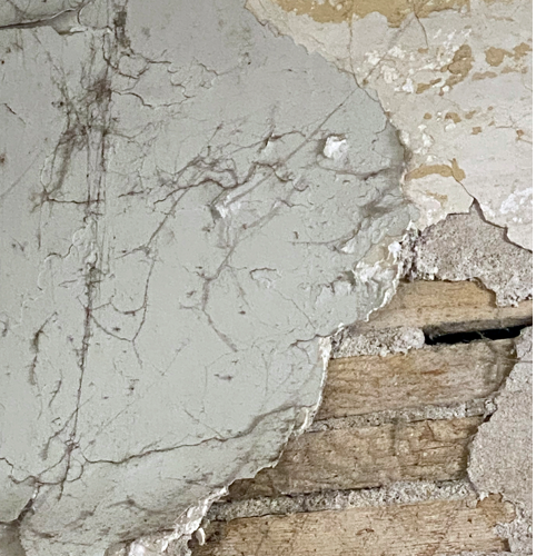 Mold Lead Asbestos Testing | Great Lake Environmental Testing Mold Testing | Lead Testing | Great Lakes Environmental Testing