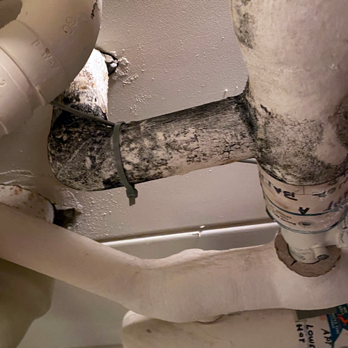 Mold Lead Asbestos Testing | Great Lake Environmental Testing Mold Testing | Lead Testing | Great Lakes Environmental Testing