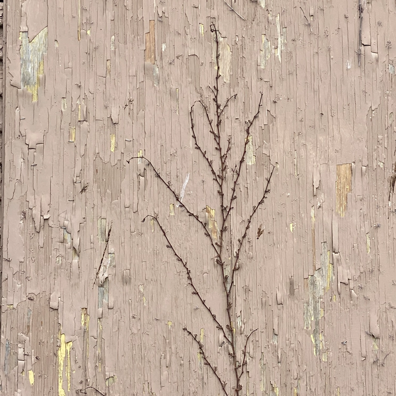 Mold Lead Asbestos Testing | Great Lake Environmental Testing Mold Testing | Lead Testing | Great Lakes Environmental Testing