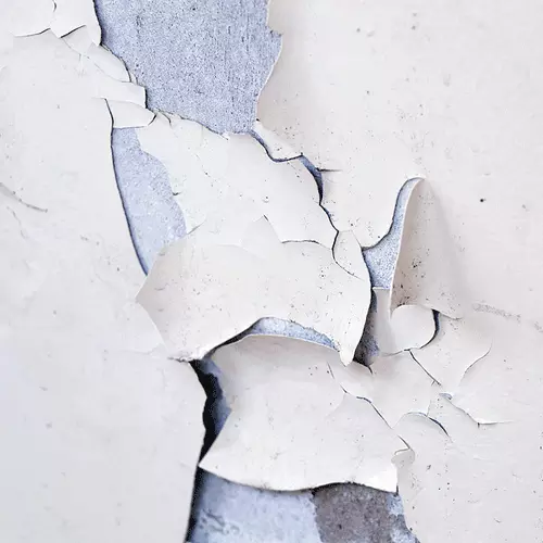 Mold Lead Asbestos Testing | Great Lake Environmental Testing Mold Testing | Lead Testing | Great Lakes Environmental Testing